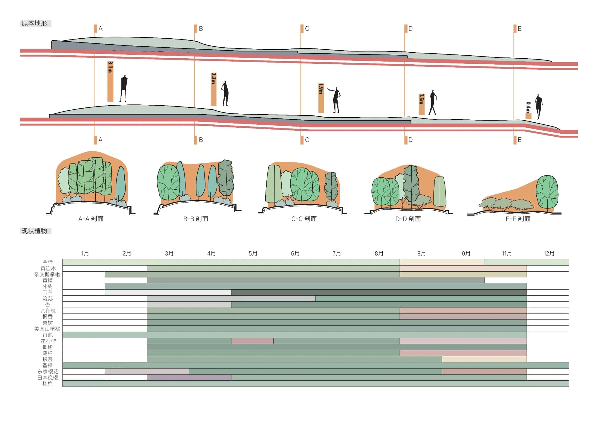 The Traces of Time Design Results Presentation.